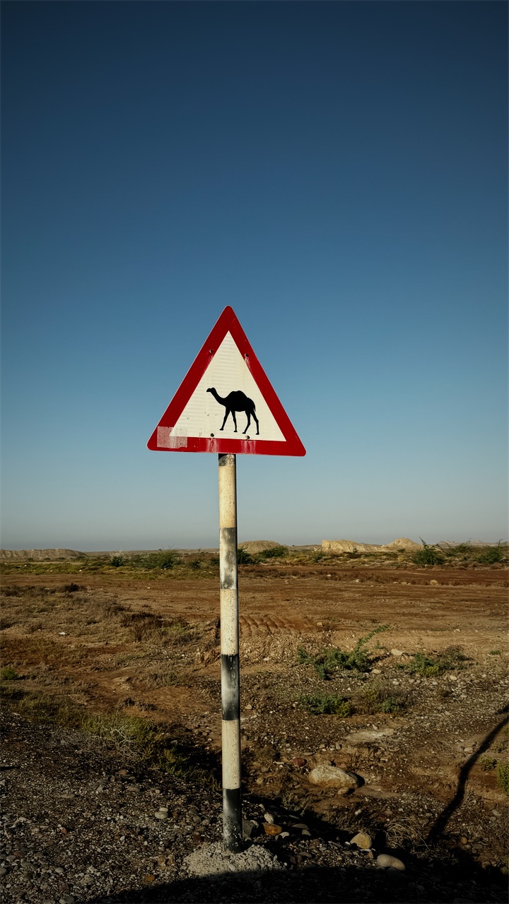 A camel-crossing road sign against a blue sky